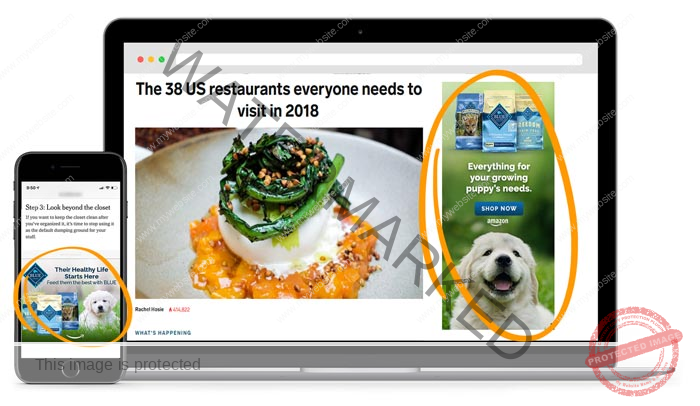 Image showing Amazon DSP ads displaying on website