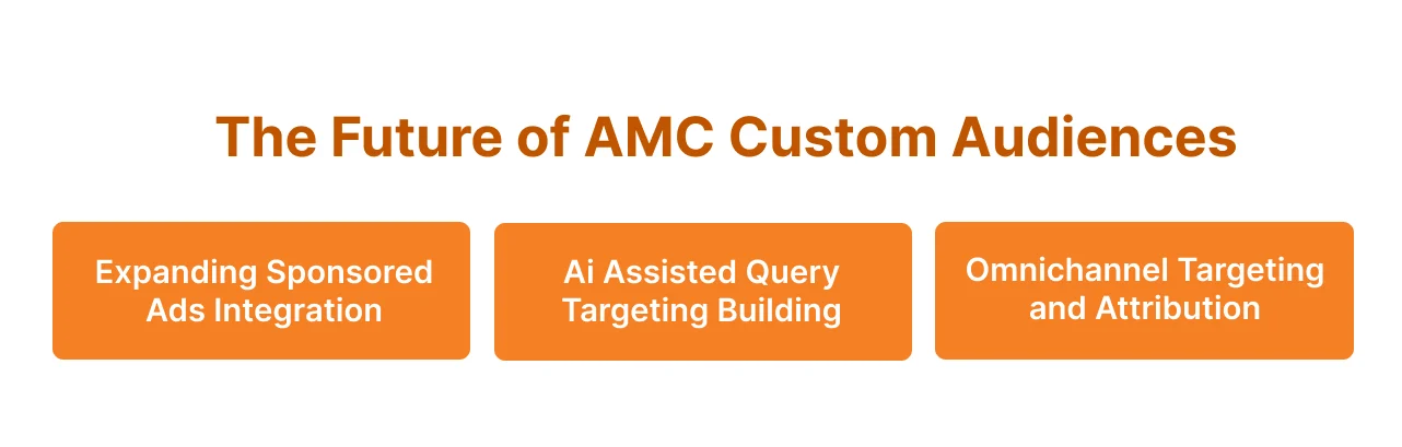 infographic showing The Future of AMC Custom Audiences