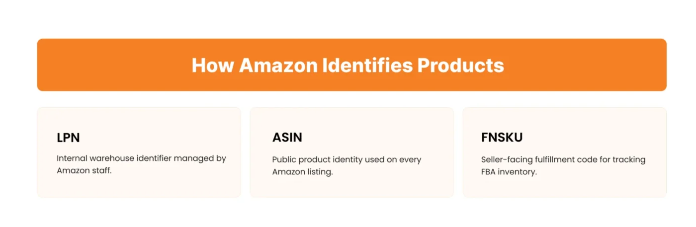 Image showing how Amazon identified products