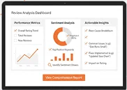 Review Insights