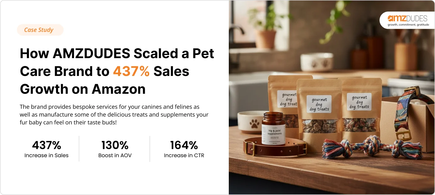 How AMZDUDES Helped Dogs Deserve It Reach Its 437% Sales Growth Potential