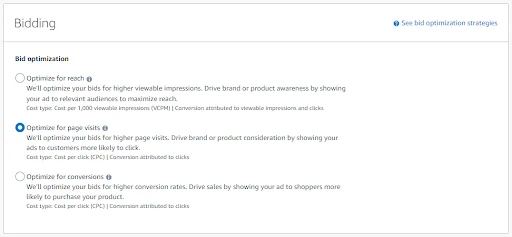 image showing bidding options of display ads