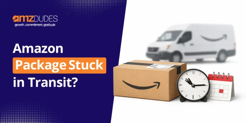 Amazon Package Delayed in Transit